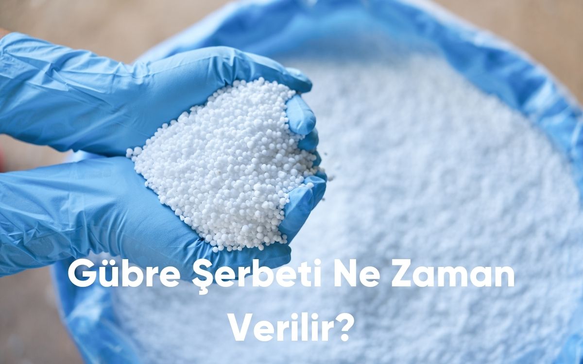 Gübre Şerbeti Ne Zaman Verilir